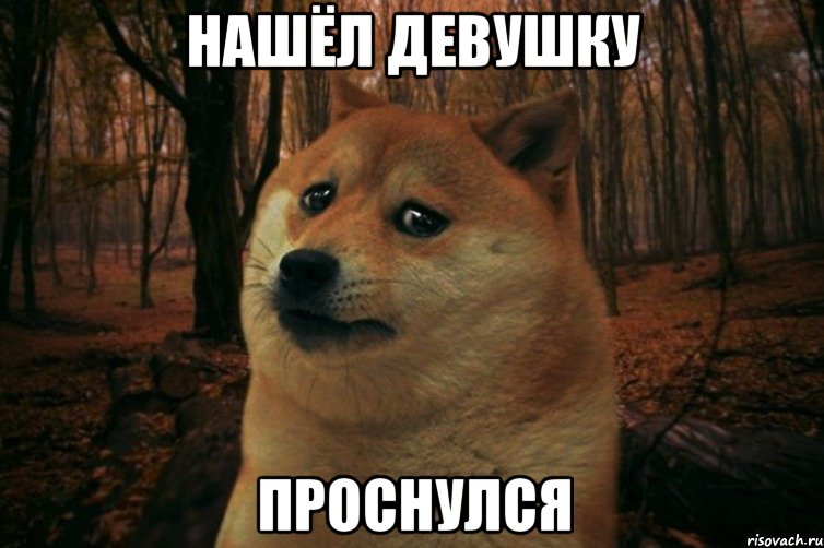 Нашёл девушку Проснулся, Мем SAD DOGE