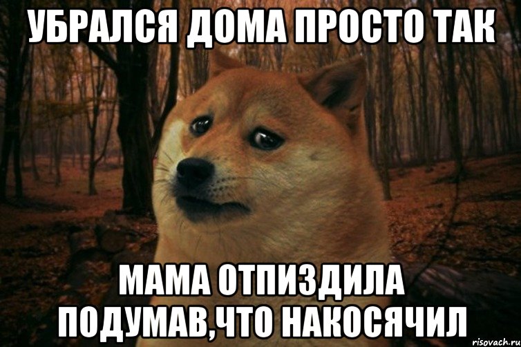 Убрался дома просто так мама отпиздила подумав,что накосячил, Мем SAD DOGE