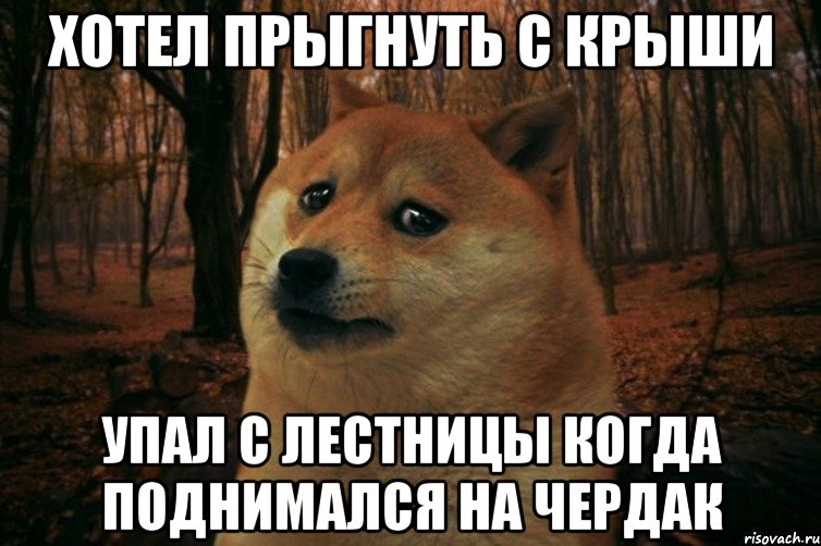 Хотел прыгнуть с крыши Упал с лестницы когда поднимался на чердак, Мем SAD DOGE