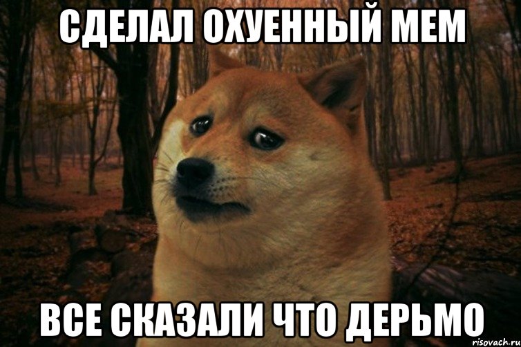 Сделал охуенный мем все сказали что дерьмо, Мем SAD DOGE