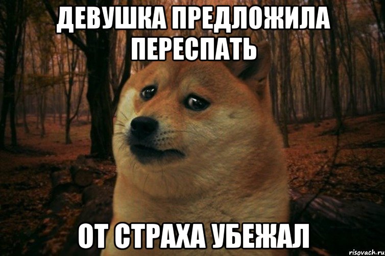 Девушка предложила переспать от страха убежал, Мем SAD DOGE