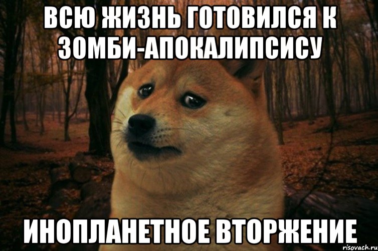 всю жизнь готовился к зомби-апокалипсису инопланетное вторжение, Мем SAD DOGE