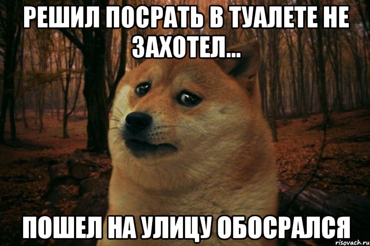 Решил посрать в туалете не захотел... Пошел на улицу обосрался, Мем SAD DOGE