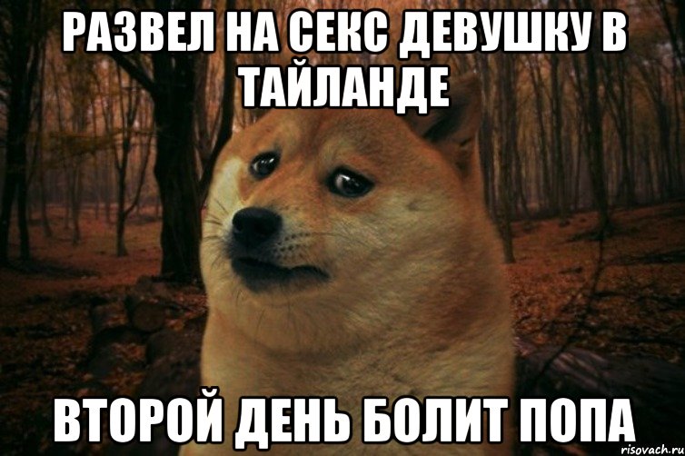 развел на секс девушку в тайланде второй день болит попа, Мем SAD DOGE