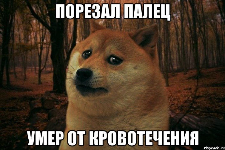 порезал палец умер от кровотечения, Мем SAD DOGE