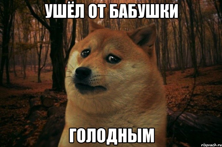 ушёл от бабушки голодным, Мем SAD DOGE