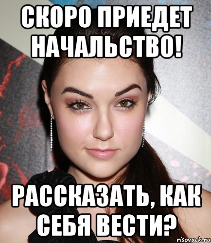 Скоро приедет начальство! Рассказать, как себя вести?, Мем  Саша Грей улыбается