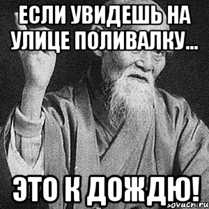 Если увидешь на улице поливалку... Это к дождю!, Мем Монах-мудрец (сэнсей)