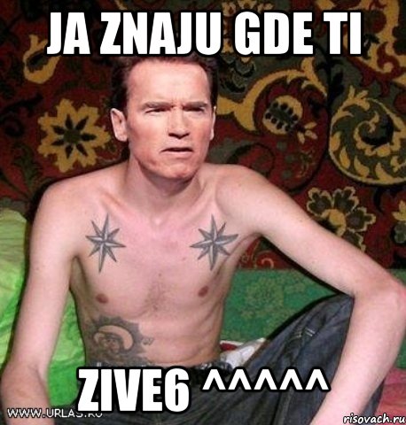 ja znaju gde ti zive6 ^^^^^, Мем Шварц на нарах