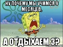 Ну почему мы учимся 9 месяцев, А отдыхаем 3?, Мем Спанч Боб плачет