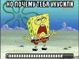 Но почему тебя укусили Лииииииииииииииииииииии!!!!!!!!!, Мем Спанч Боб плачет