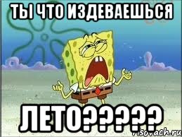 ты что издеваешься лето?????, Мем Спанч Боб плачет