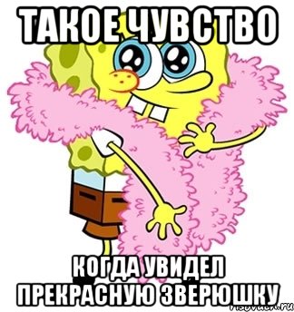 Такое чувство Когда увидел прекрасную зверюшку, Мем Спанч боб