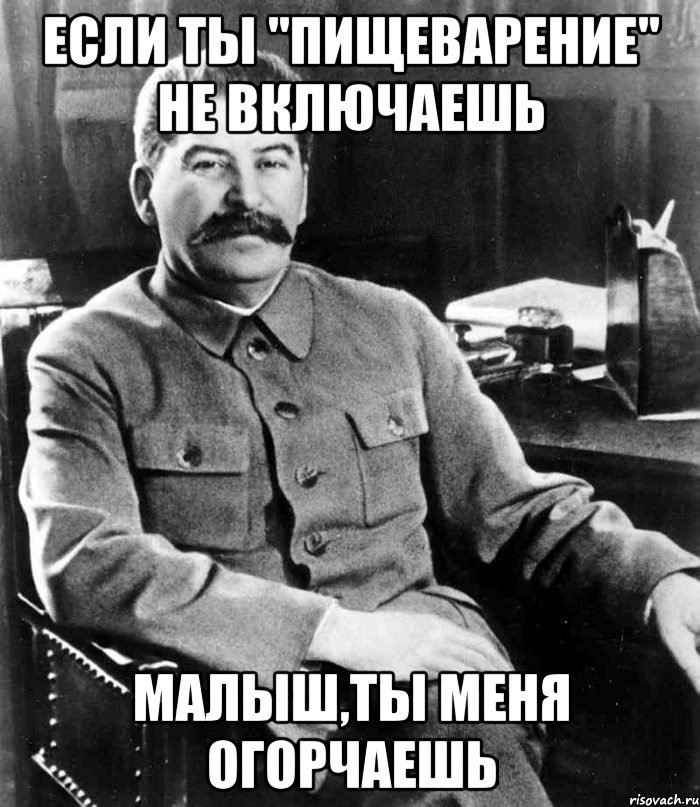 если ты "пищеварение" не включаешь малыш,ты меня огорчаешь, Мем  иосиф сталин