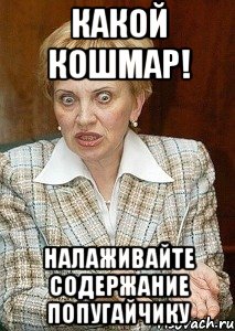 Какой кошмар! Налаживайте содержание попугайчику, Мем Судья Егорова