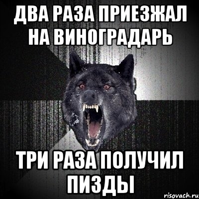 два раза приезжал на Виноградарь три раза получил пизды, Мем Сумасшедший волк