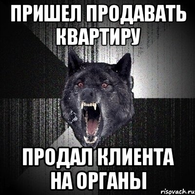 Пришел продавать квартиру Продал клиента на органы, Мем Сумасшедший волк