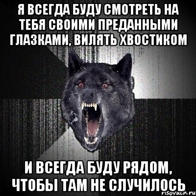 Я всегда буду смотреть на тебя своими преданными глазками, вилять хвостиком и всегда буду рядом, чтобы там не случилось, Мем Сумасшедший волк