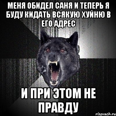 меня обидел саня и теперь я буду кидать всякую хуйню в его адрес и при этом не правду, Мем Сумасшедший волк