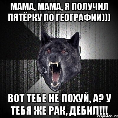 Мама, мама, я получил пятёрку по географии))) Вот тебе не похуй, а? У тебя же рак, дебил!!!, Мем Сумасшедший волк