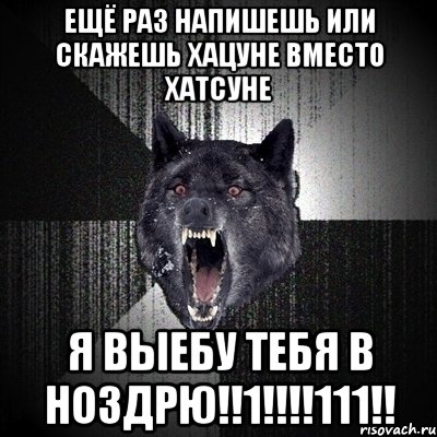 Ещё раз напишешь или скажешь Хацуне вместо Хатсуне Я выебу тебя в ноздрю!!1!!!!111!!, Мем Сумасшедший волк