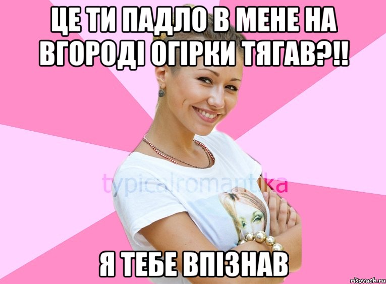 це ти падло в мене на вгороді огірки тягав?!! я тебе впізнав