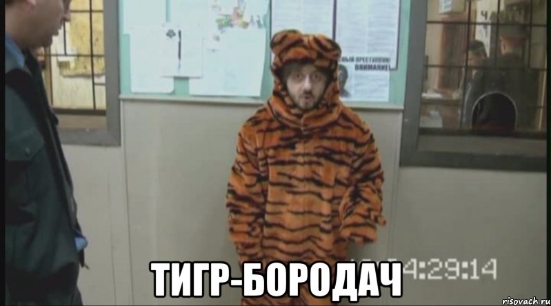  Тигр-бородач, Мем Бородач в костюме тигра (Наша Раша)