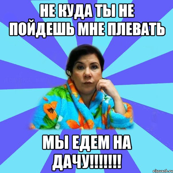 Не куда ты не пойдешь мне плевать Мы едем на дачу!!!!!!!, Мем типичная мама