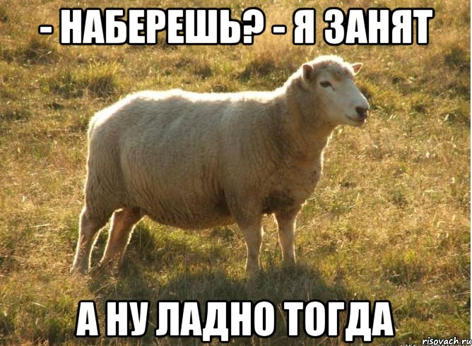 - Наберешь? - я занят а ну ладно тогда, Мем Типичная овца