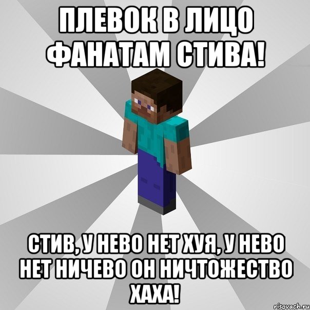 ПЛЕВОК В ЛИЦО ФАНАТАМ СТИВА! СТИВ, У НЕВО НЕТ ХУЯ, У НЕВО НЕТ НИЧЕВО ОН НИЧТОЖЕСТВО ХАХА!, Мем Типичный игрок Minecraft