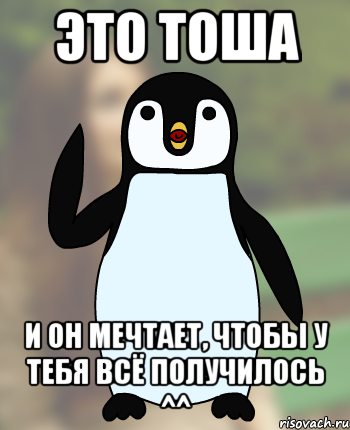 ЭТО ТОША И ОН МЕЧТАЕТ, ЧТОБЫ У ТЕБЯ ВСЁ ПОЛУЧИЛОСЬ ^^, Мем Типичный олимпиадник