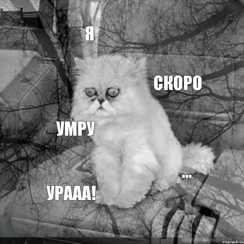 Я Скоро Умру ... Урааа!, Комикс  кот безысходность