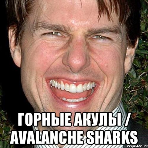  Горные акулы / Avalanche Sharks, Мем Том Круз