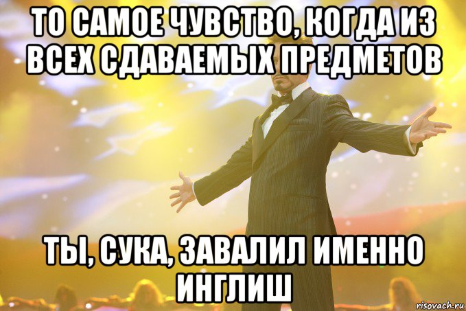 ТО САМОЕ ЧУВСТВО, КОГДА ИЗ ВСЕХ СДАВАЕМЫХ ПРЕДМЕТОВ ТЫ, СУКА, ЗАВАЛИЛ ИМЕННО ИНГЛИШ, Мем Тони Старк (Роберт Дауни младший)