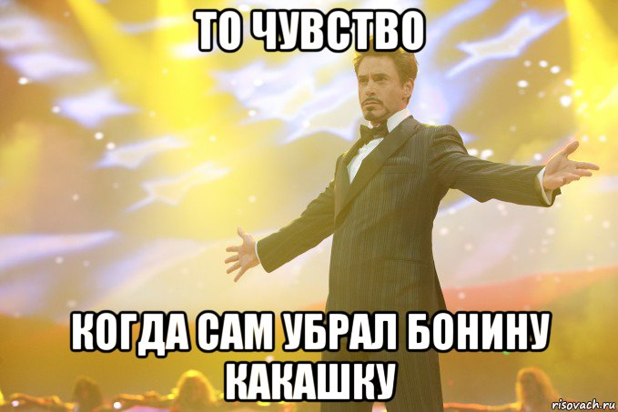 То чувство Когда сам убрал Бонину какашку, Мем Тони Старк (Роберт Дауни младший)