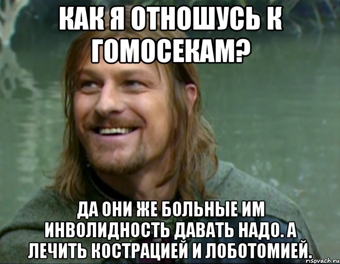 Как я отношусь к гомосекам? Да они же больные им инволидность давать надо. А лечить кострацией и лоботомией., Мем Тролль Боромир