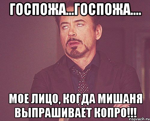 Госпожа...госпожа.... Мое лицо, когда Мишаня выпрашивает Копро!!!, Мем твое выражение лица