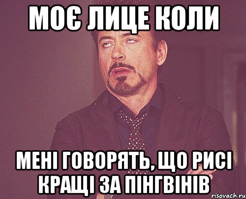 моє лице коли мені говорять, що рисі кращі за пінгвінів, Мем твое выражение лица