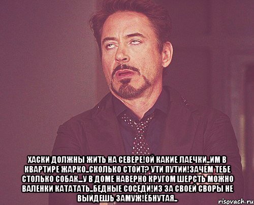  Хаски должны жить на севере!Ой какие лаечки..Им в квартире жарко..Сколько стоит? Ути путии!Зачем тебе столько собак...У в доме наверно кругом шерсть можно валенки кататать..Бедные соседи!Из за своей своры не выйдешь замуж!Ёбнутая.., Мем твое выражение лица