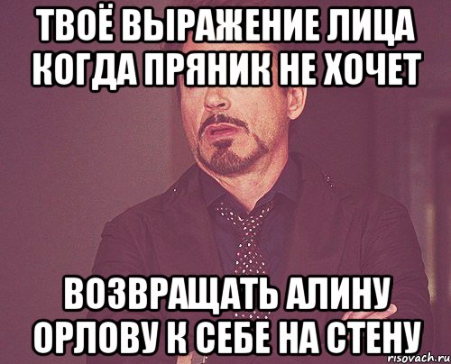 ТВОЁ ВЫРАЖЕНИЕ ЛИЦА КОГДА ПРЯНИК НЕ ХОЧЕТ ВОЗВРАЩАТЬ АЛИНУ ОРЛОВУ К СЕБЕ НА СТЕНУ, Мем твое выражение лица