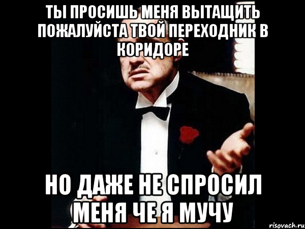 Ты просишь меня вытащить пожалуйста твой переходник в коридоре но даже не спросил меня че я мучу, Мем ты делаешь это без уважения