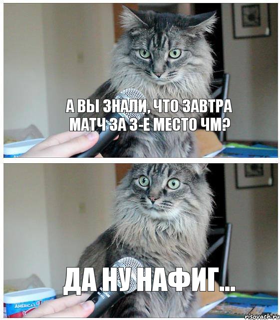 А вы знали, что завтра матч за 3-е место ЧМ? Да ну нафиг..., Комикс  кот с микрофоном