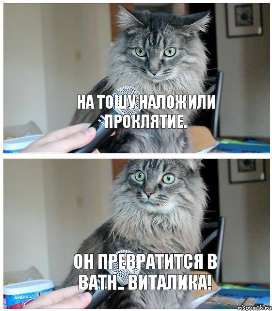 На Тошу наложили проклятие. он превратится в ВАТН.. ВИТАЛИКА!, Комикс  кот с микрофоном