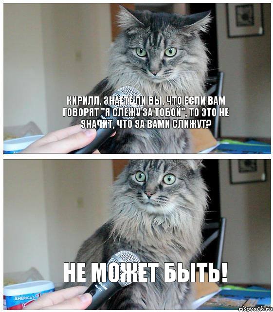 Кирилл, знаете ли вы, что если вам говорят "Я слежу за тобой", то это не значит, что за вами слижут? НЕ МОЖЕТ БЫТЬ!, Комикс  кот с микрофоном