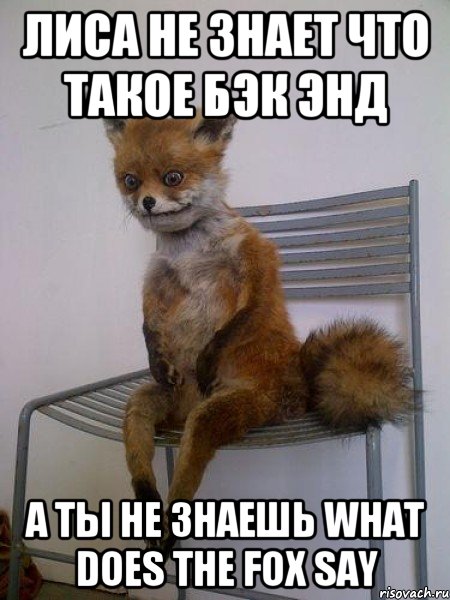 ЛИСА НЕ ЗНАЕТ ЧТО ТАКОЕ БЭК ЭНД А ТЫ НЕ ЗНАЕШЬ what does the fox say, Мем Упоротая лиса