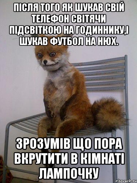 після того як шукав свій телефон світячи підсвіткою на годиннику,і шукав футбол на нюх. зрозумів що пора вкрутити в кімнаті лампочку, Мем Упоротая лиса