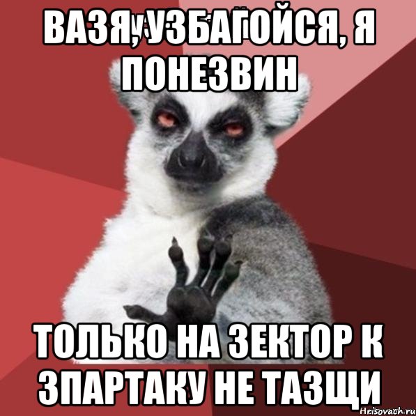 ВАЗЯ, УЗБАГОЙСЯ, Я ПОНЕЗВИН ТОЛЬКО НА ЗЕКТОР К ЗПАРТАКУ НЕ ТАЗЩИ, Мем Узбагойзя