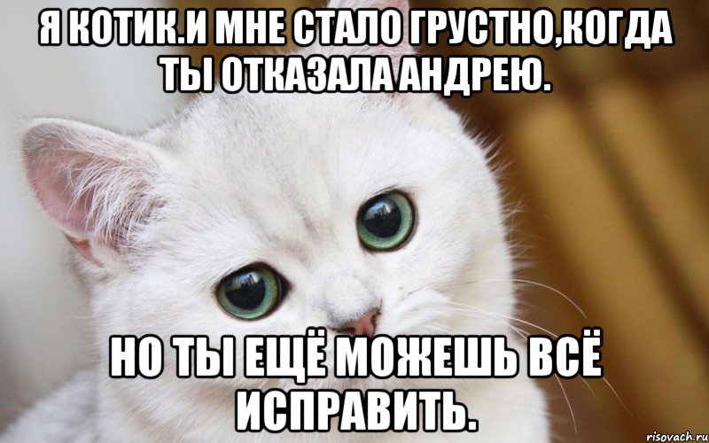 Я котик.И мне стало грустно,когда ты отказала Андрею. Но ты ещё можешь всё исправить., Мем  В мире грустит один котик