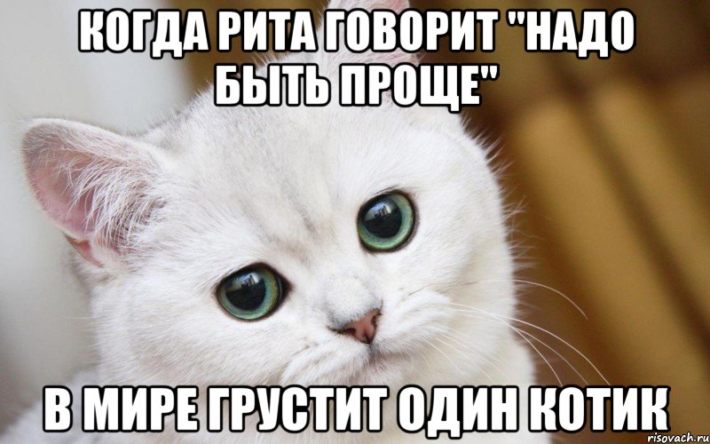 Когда Рита говорит "Надо быть проще" в мире грустит один котик, Мем  В мире грустит один котик