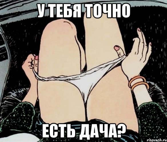 У тебя точно есть дача?, Мем А ты точно